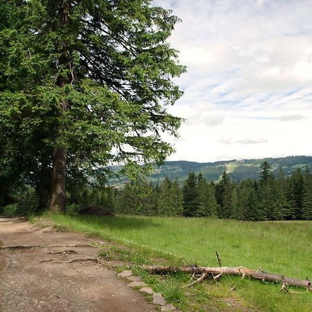 Domek Sekret Zakopane Luaran gambar