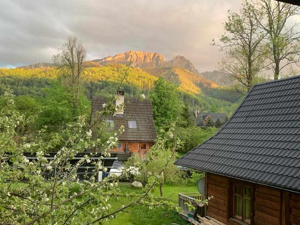 Domek Sekret Zakopane Luaran gambar